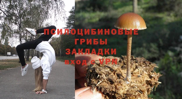 соль ск Лагань