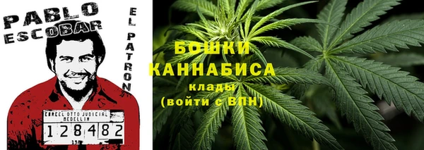 соль ск Лагань